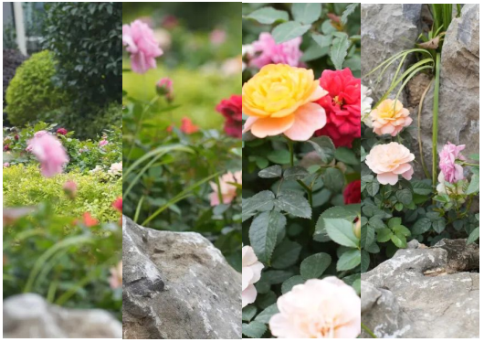 ΢��ͼƬ_20231206171341