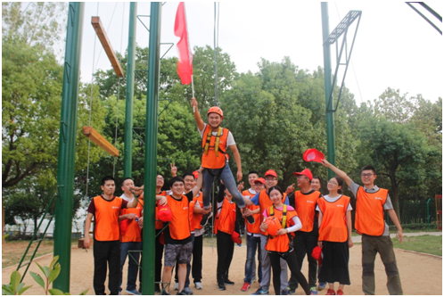 IBCBETɳ�͹���