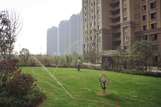 IBCBETɳ�͹���