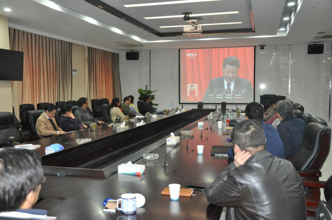 IBCBETɳ�͹���