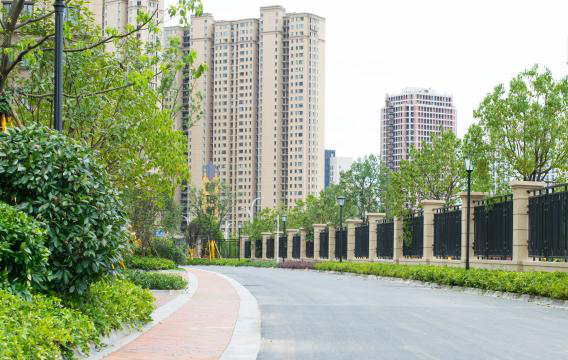 IBCBETɳ�͹���