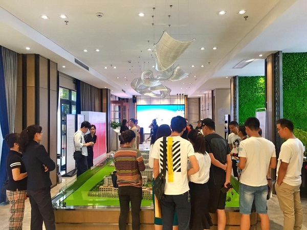 IBCBETɳ�͹���