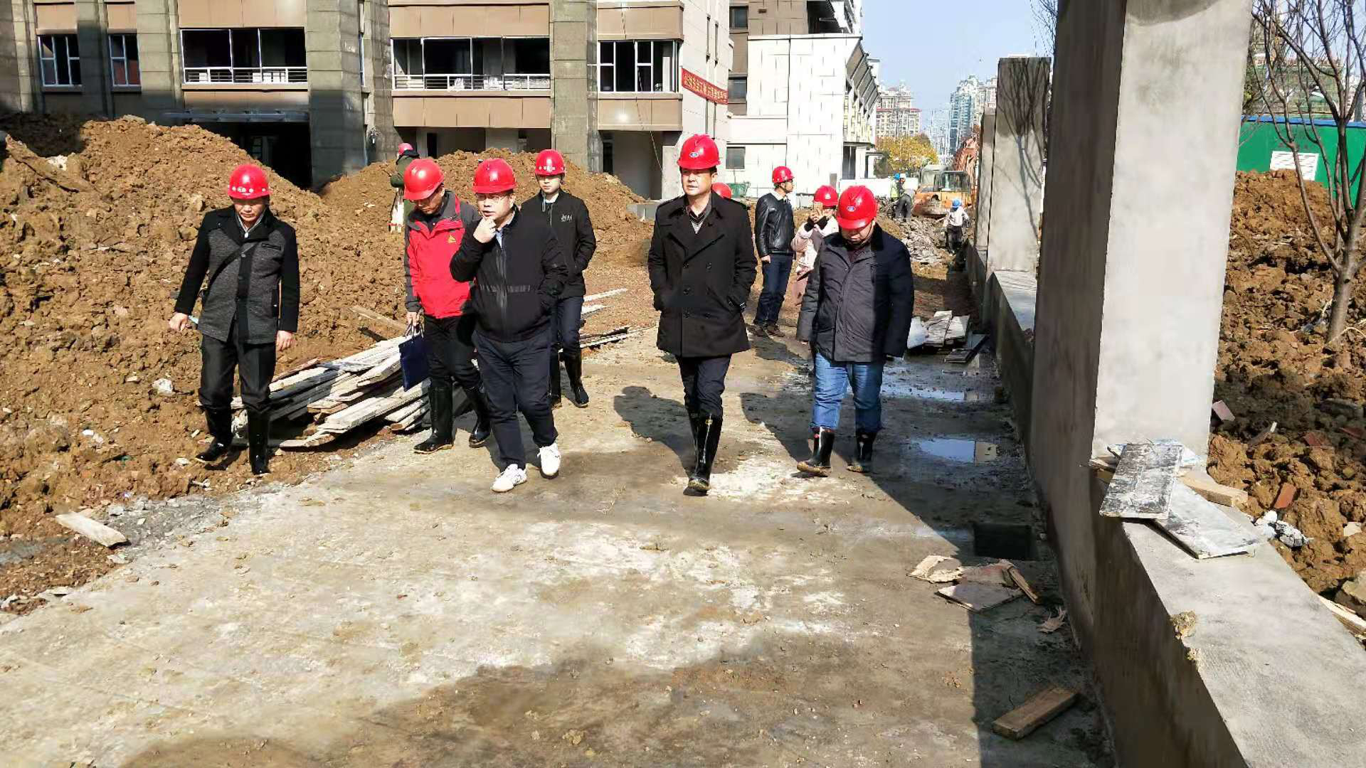 IBCBETɳ�͹���