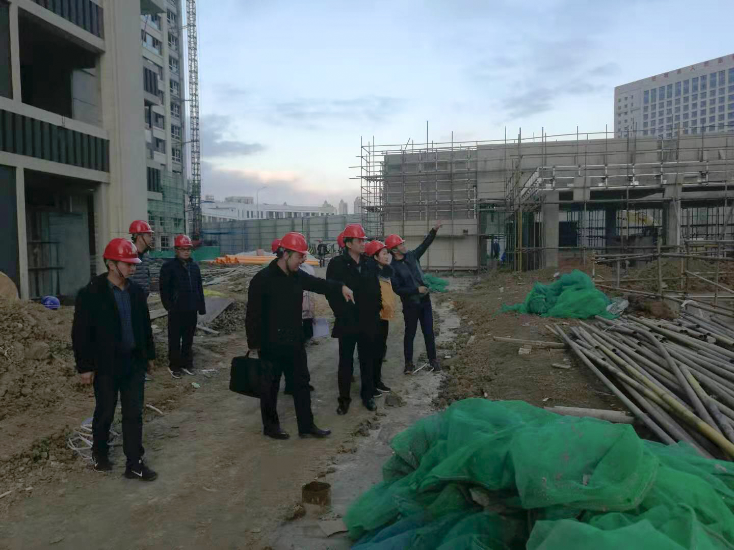 IBCBETɳ�͹���