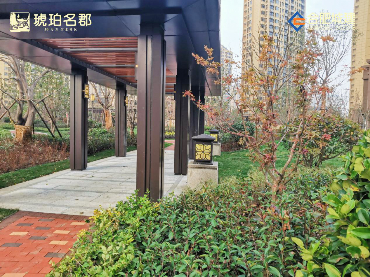 IBCBETɳ°Í¹ÙÍø