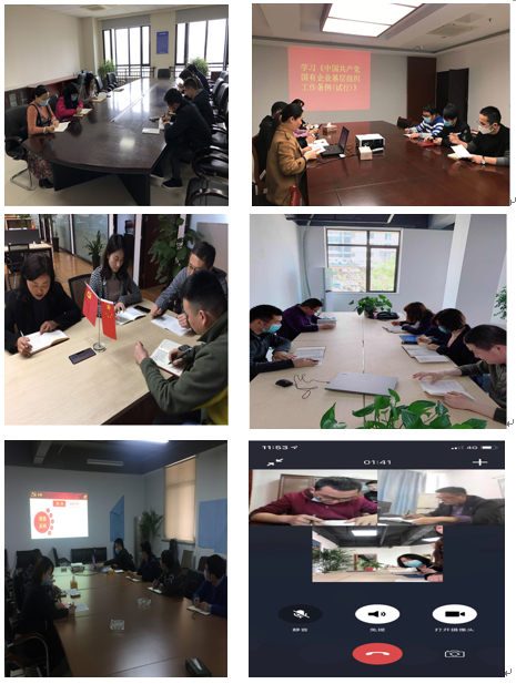 IBCBETɳ°Í¹ÙÍø