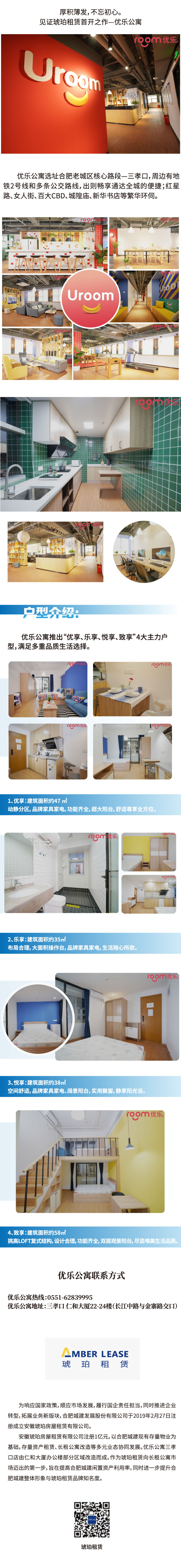 IBCBETɳ�͹���