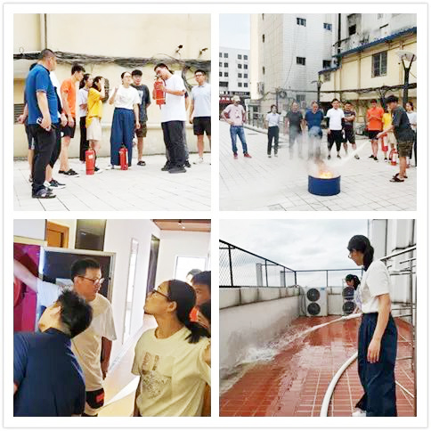 IBCBETɳ�͹���