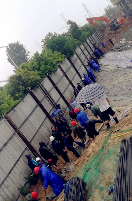 IBCBETɳ�͹���