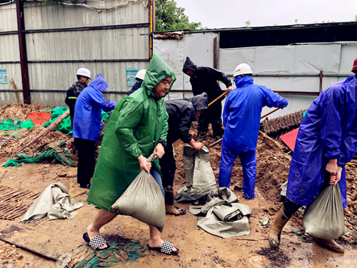 IBCBETɳ�͹���