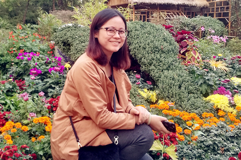 IBCBETɳ�͹���