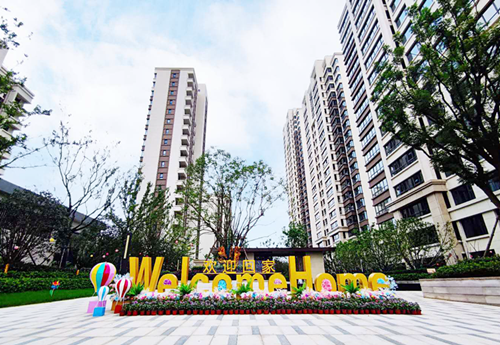 IBCBETɳ�͹���