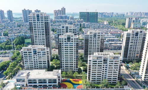 IBCBETɳ�͹���