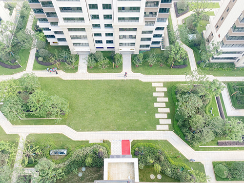 IBCBETɳ�͹���