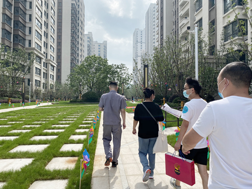 IBCBETɳ�͹���