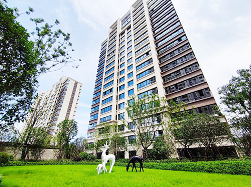 IBCBETɳ�͹���