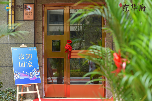 IBCBETɳ�͹���