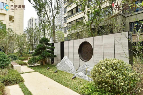 IBCBETɳ�͹���