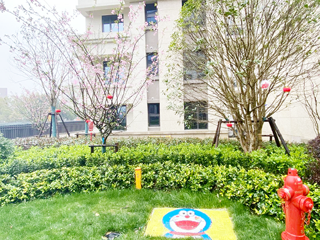 IBCBETɳ�͹���