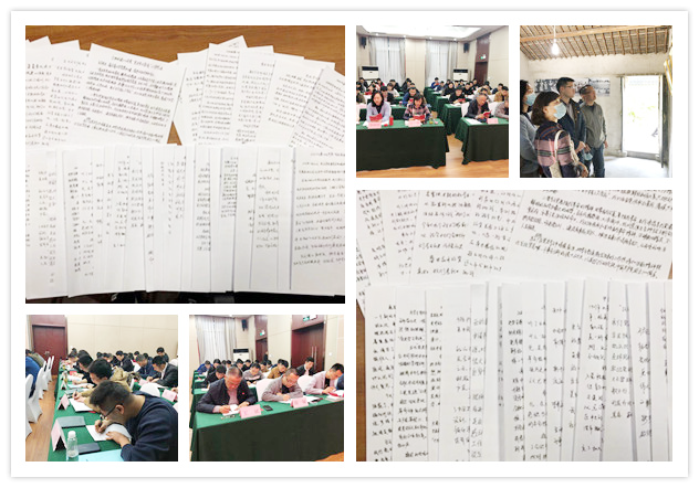 IBCBETɳ�͹���