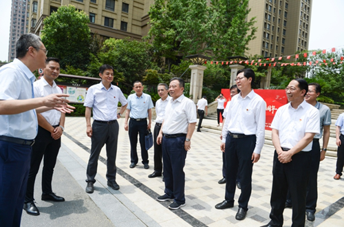 IBCBETɳ�͹���