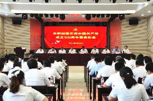 IBCBETɳ�͹���