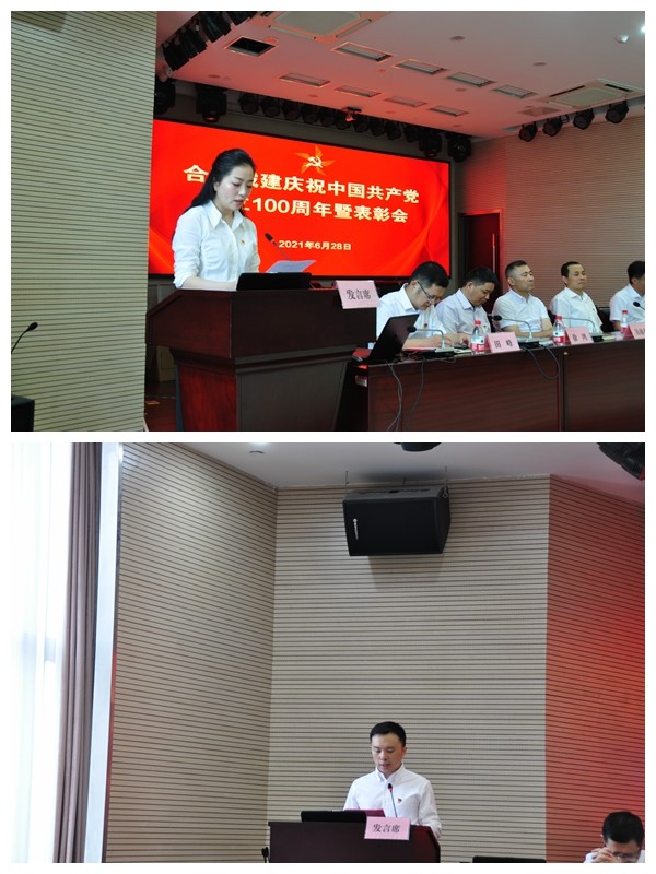 IBCBETɳ�͹���