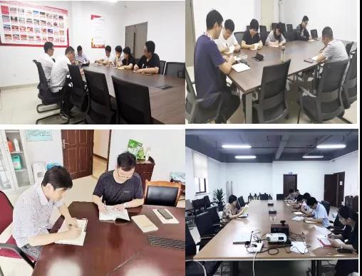 IBCBETɳ�͹���