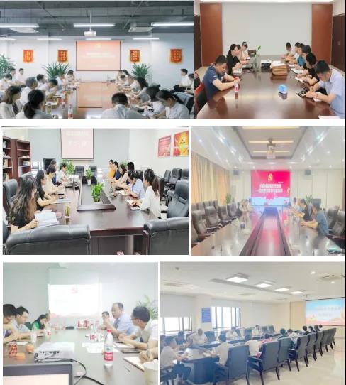 IBCBETɳ�͹���