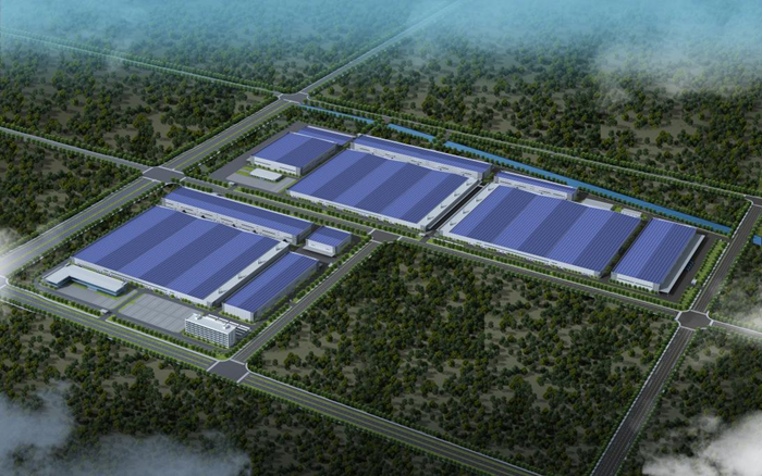 IBCBETɳ�͹���