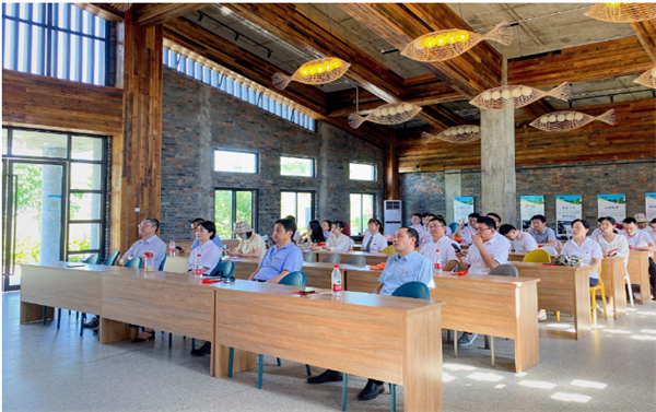 IBCBETɳ�͹���