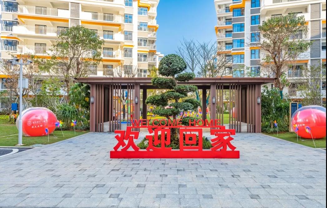 IBCBETɳ�͹���