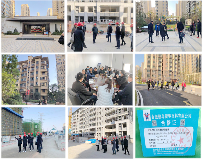 IBCBETɳ�͹���