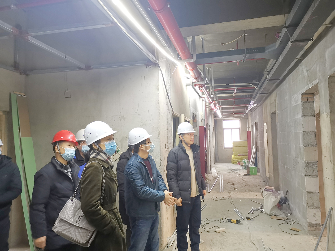 IBCBETɳ�͹���