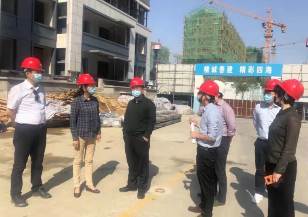 IBCBETɳ�͹���